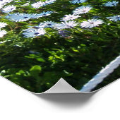 カクティアットロザリトビーチメキシコ ポスター (角)