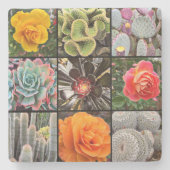 カクティバラ花写真集モダン団はっきりした ストーンコースター (正面)