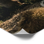 カクティヒル ポスター (角)