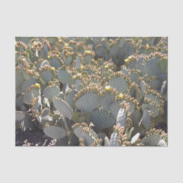 カクティーティッシュペーパー 薄葉紙