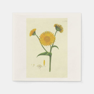 カクテルナプキン スタンダードカクテルナプキン