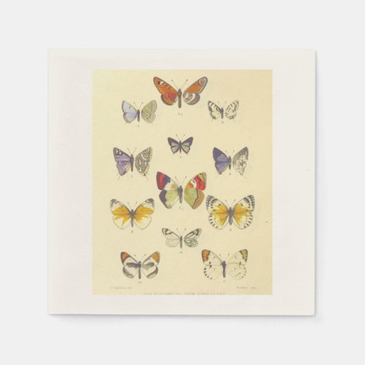 カクテル ナプキン - ビンテージ バタフライ デザイン スタンダードカクテルナプキン (正面)