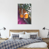 カクレクマノミ キャンバスプリント (インサイチュ (寝室))