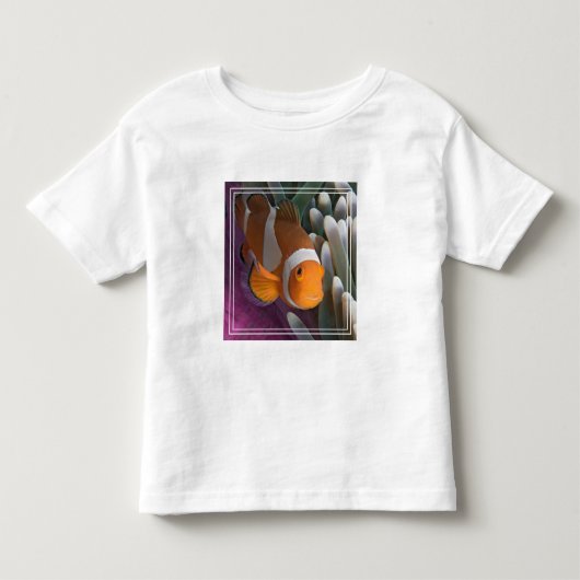 カクレクマノミ トドラーTシャツ (正面)