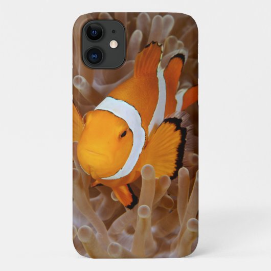 カクレクマノミ - モロカイ島、ノースショアクリフ Case-Mate iPhoneケース (裏面)