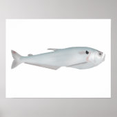 カクンダ ポスター (正面)