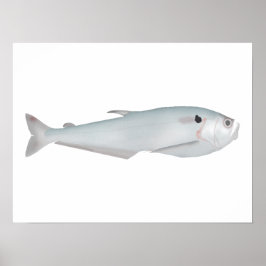 カクンダ ポスター