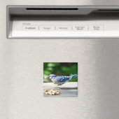 カケスがピーナッツを手に入れる マグネット (インサイチュ (食洗機))