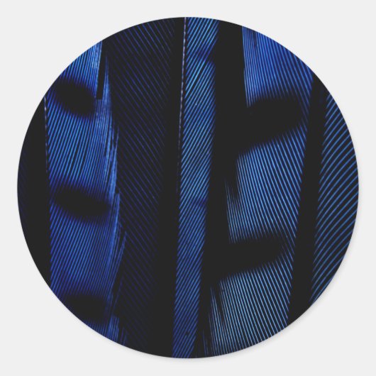 カケスの青い羽 ラウンドシール (正面)