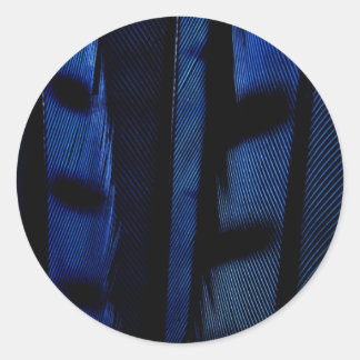 カケスの青い羽 ラウンドシール