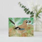 カケス秋 ポストカード (スタンド正面)