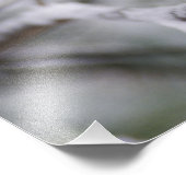 カケス，カケス フォトプリント            (角)