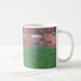 カケス コーヒーマグカップ