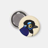 カケス マグネット (正面/裏面)