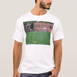 カケス Tシャツ