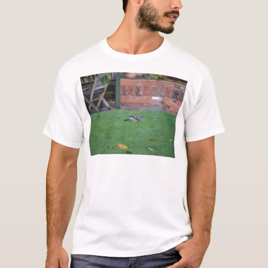 カケス Tシャツ (正面)