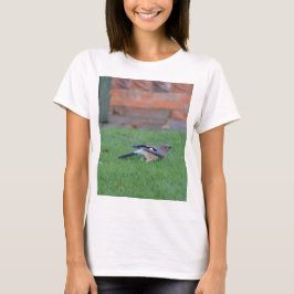 カケス Tシャツ
