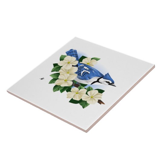 カケバドリ タイル (側面)