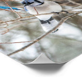 カケバドリ ポスター (角)