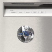 カケバドリ マグネット (インサイチュ (食洗機))