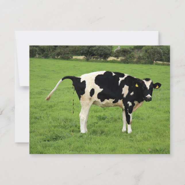 カケンドク (正面)