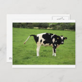 カケンドク ポストカード (正面/裏面)