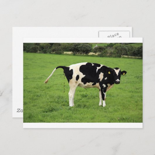 カケンドク ポストカード (正面/裏面)