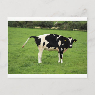 カケンドク ポストカード