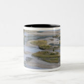 カケ走スの低地の川 ツートーンマグカップ (中央)