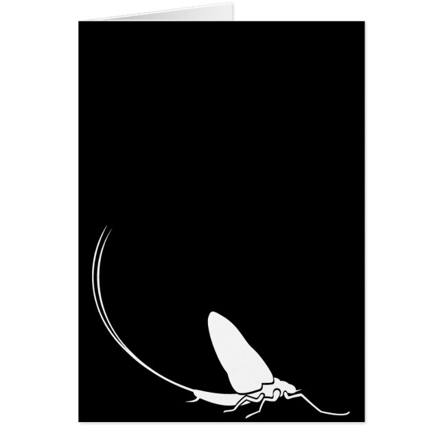 カゲロウ (正面)