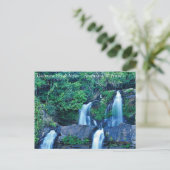 カコエイラヴェウドノイヴァ ポストカード (スタンド正面)