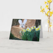 カゴ復活祭のグリーティングカードのコルギ カード (黄色い花)