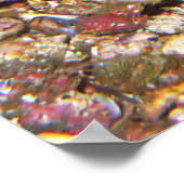 カサゴを剥き上げる ポスター (角)