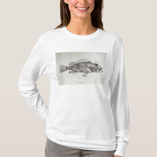 カサゴ Tシャツ (正面)