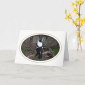 カササギのバースデー・カード カード (黄色い花)