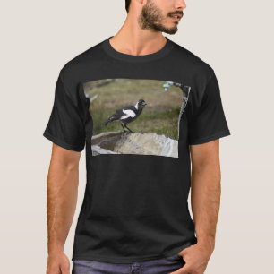 カササギの黒く及び白い田園クイーンズランドオーストラリア Tシャツ