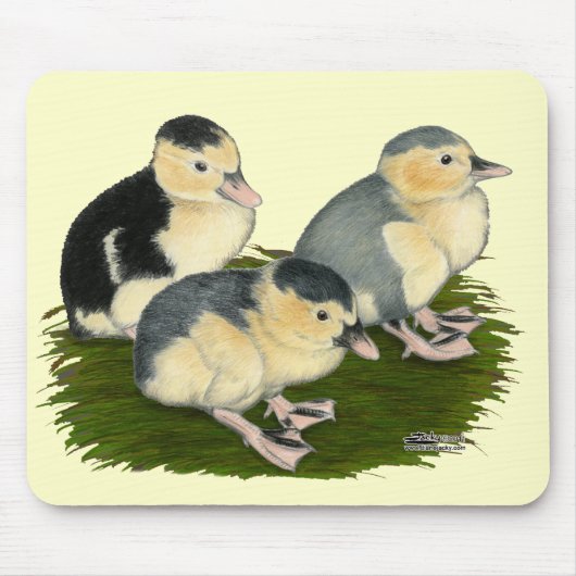 カササギガモの雛 マウスパッド (正面)