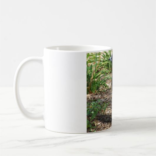 カササギフエガラスのマグ コーヒーマグカップ (左)
