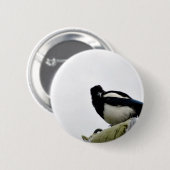 カササギ 缶バッジ (正面&裏面)