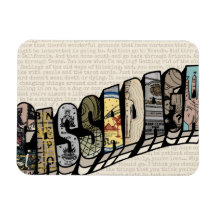 カサダガクライラウディエンスフレキシブル磁石