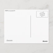 カサノヴァヴェネツィアカーニバルシアターマスクポストカード ポストカード (裏面)