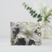 カサブランカリリーポストカード ポストカード (スタンド正面)