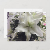 カサブランカリリーポストカード ポストカード (正面/裏面)