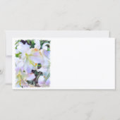 カサブランカ [ユリ] 案内状 (裏面)