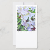 カサブランカ [ユリ] 案内状 (裏面)