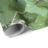 カシおよびキヅタの包装紙 ラッピングペーパー (ロールコーナー)