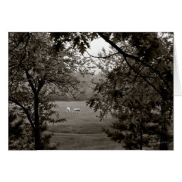 カシで組み立てられるPalominos