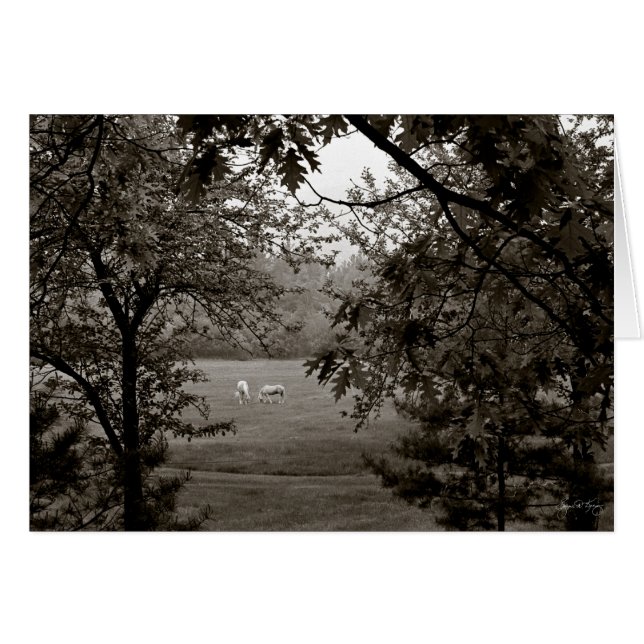 カシで組み立てられるPalominos (正面横)