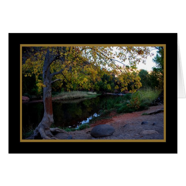 カシの入り江246 (正面横)