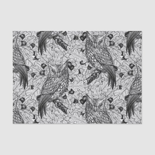 カシの木にフクロウと黒と白 薄葉紙 (正面)